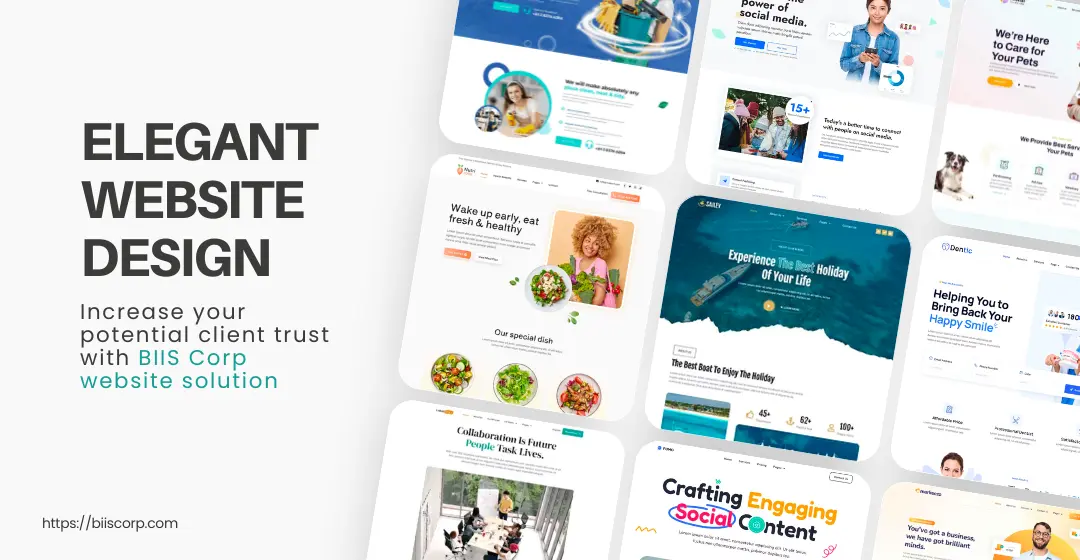 BIIS Corp - Penyedia Jasa Pembuatan Website (2)