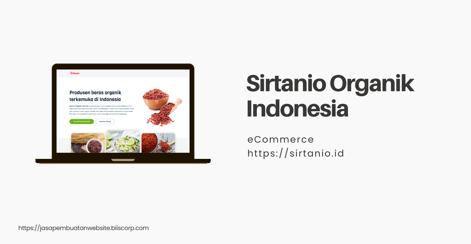 Portfofolio-Jasa- Pembuatan-Website-Solo-Sirtanio-2